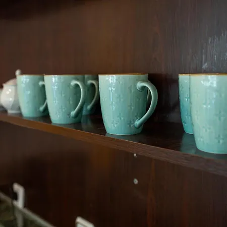 Megy's 3rd 홈스테이 소피아